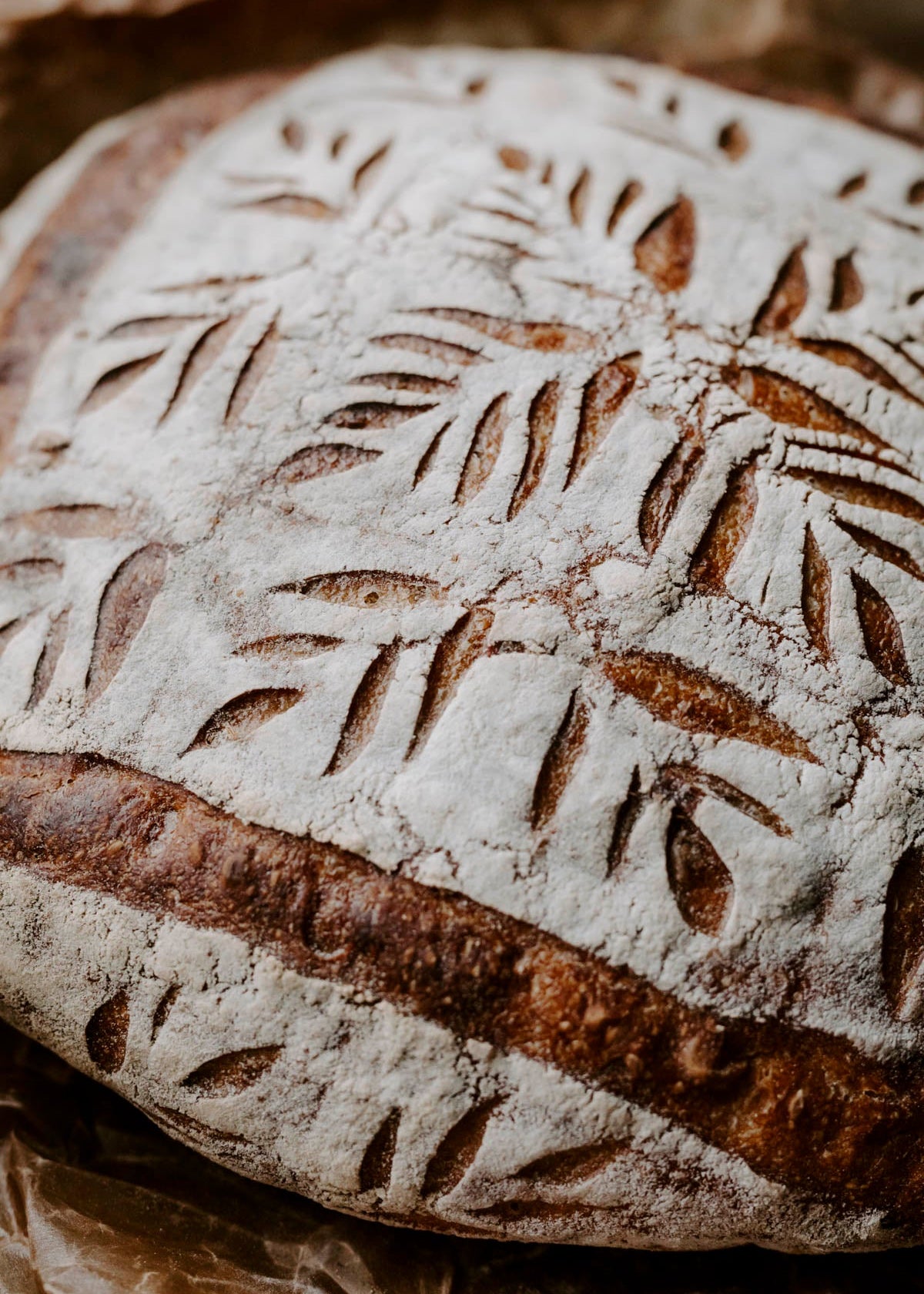 Speltbrød med fenikkelfrø