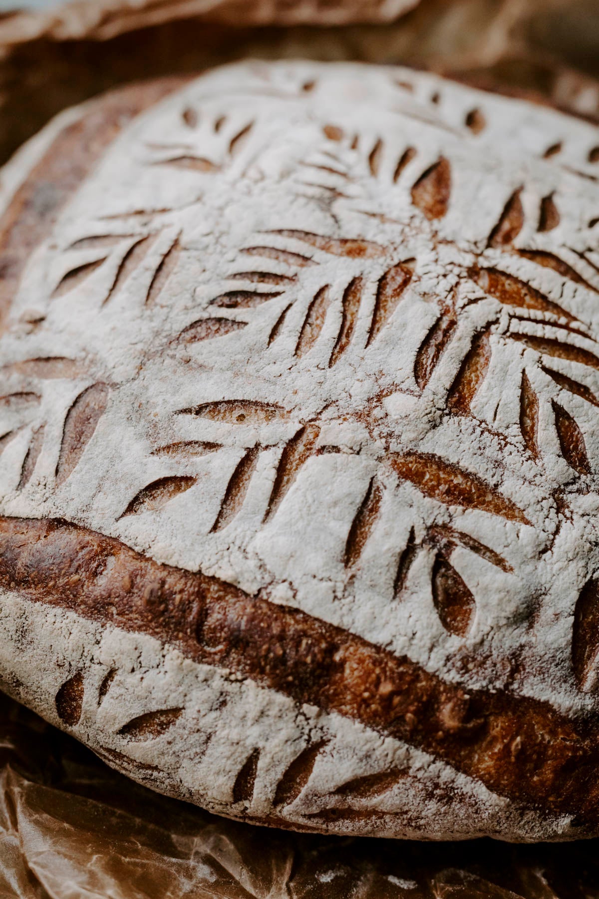 Speltbrød med fenikkelfrø