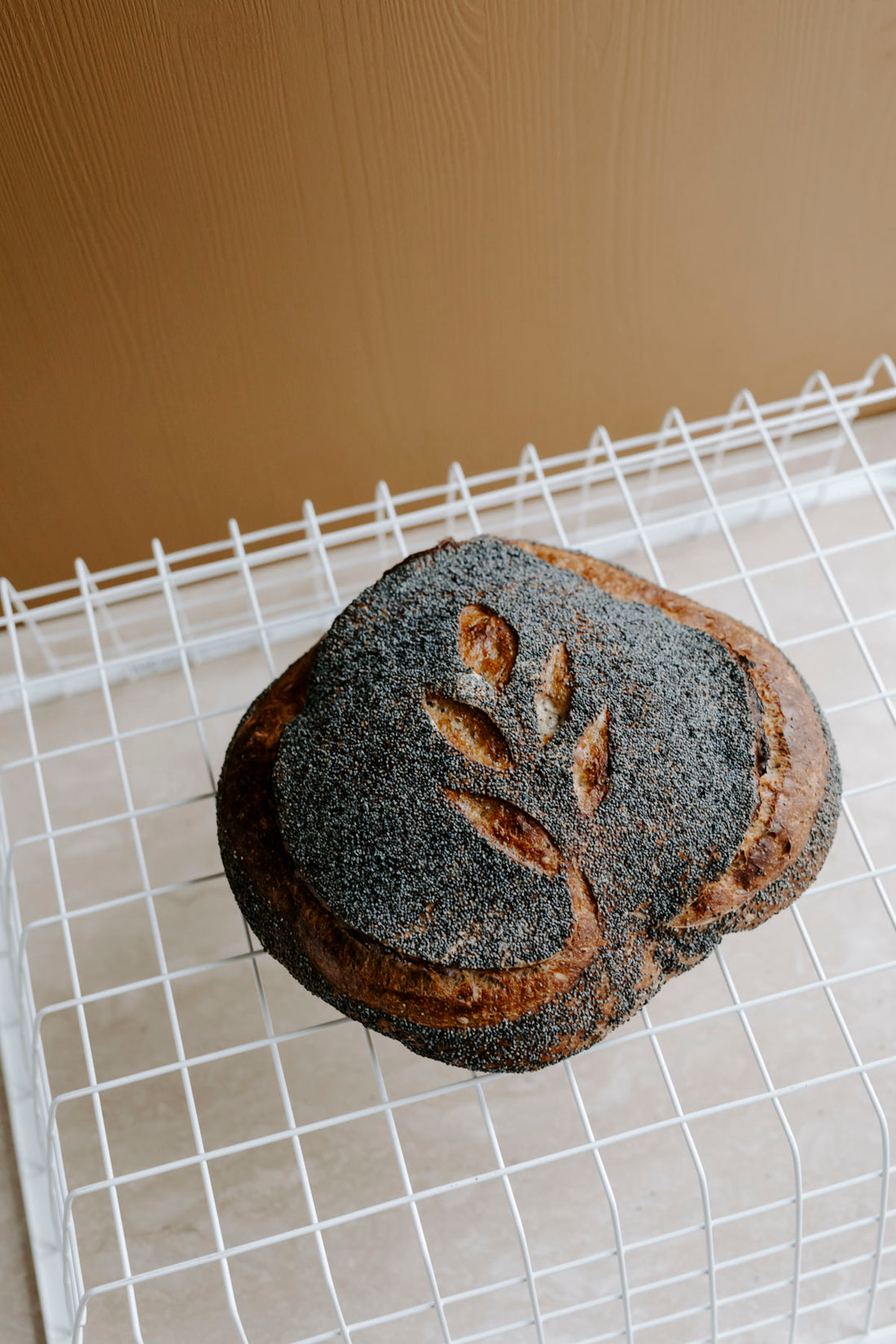 Surdeigsbrød med valmuefrø og spelt - Skillebekk surdeig